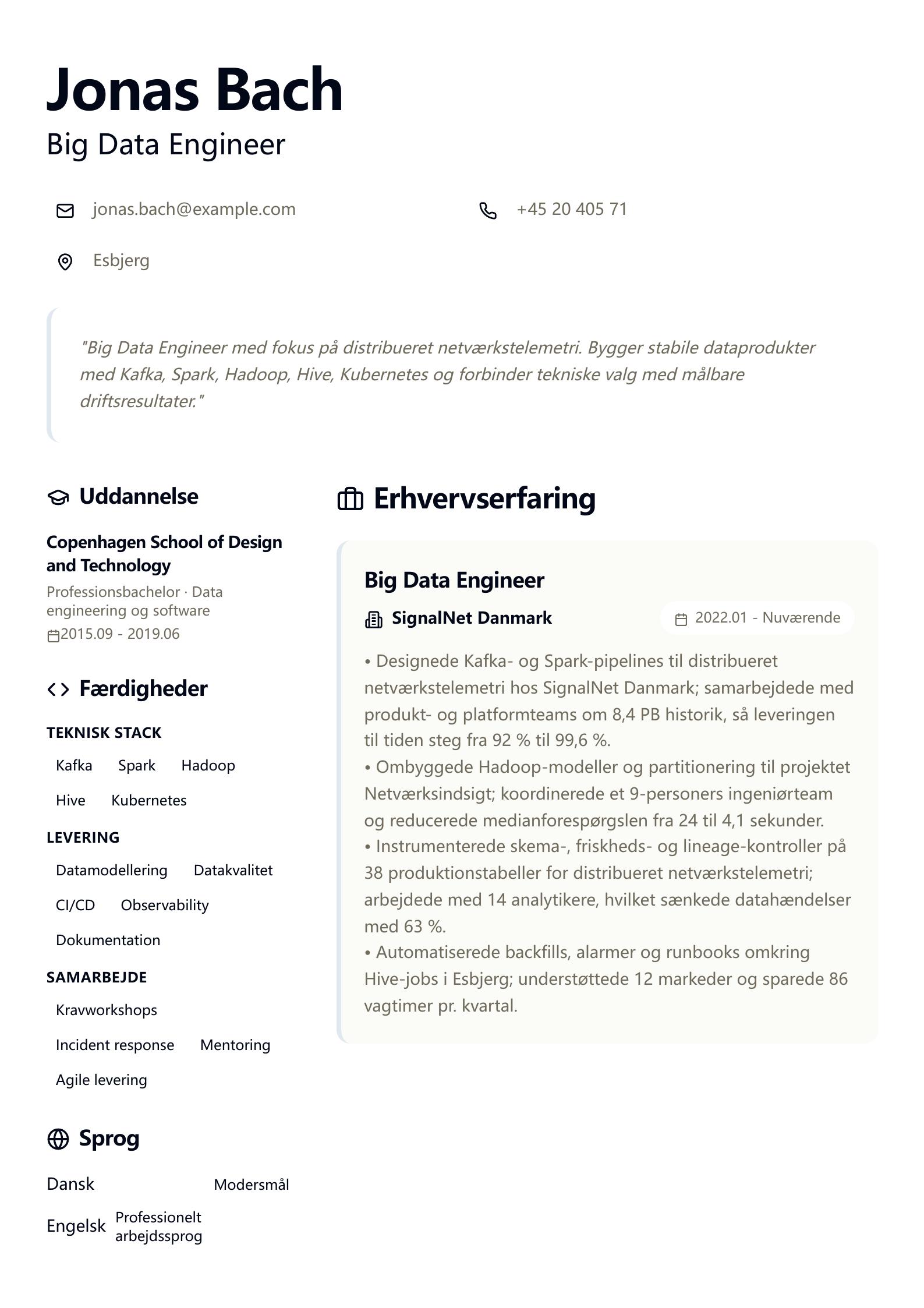 CV-eksempel: Big Data Engineer forhåndsvisning