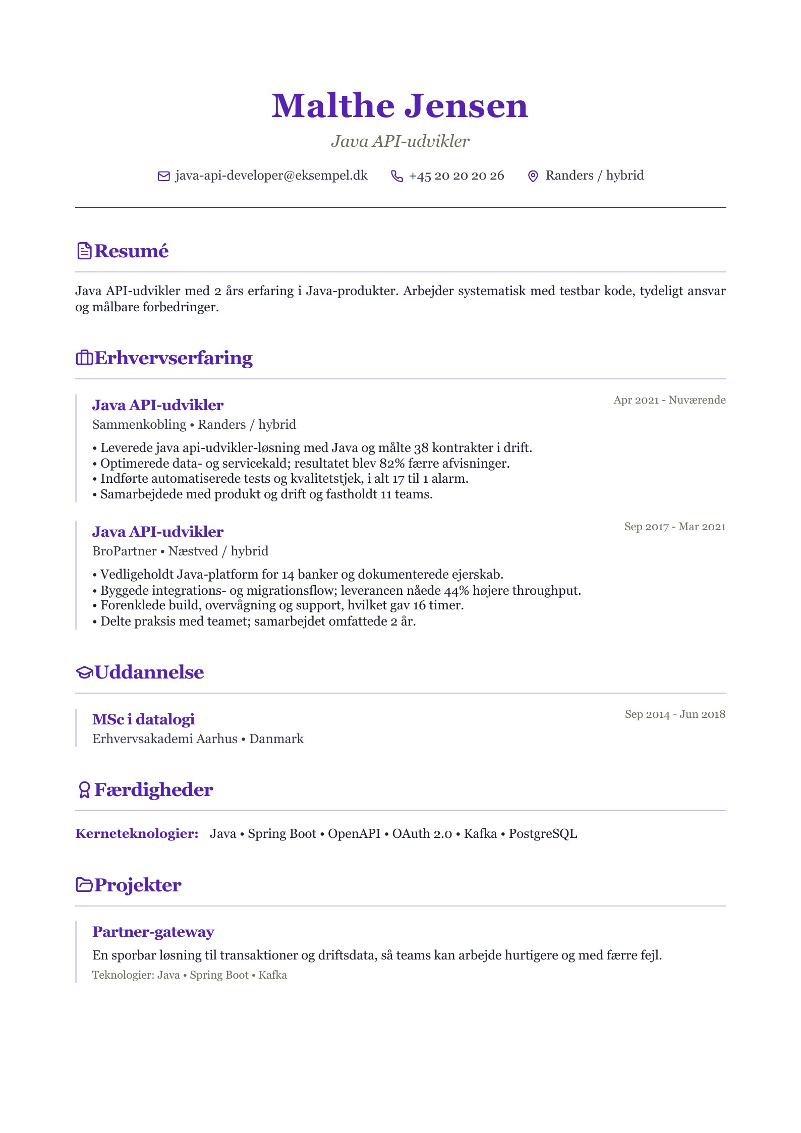 Java API-udvikler CV - dansk eksempel