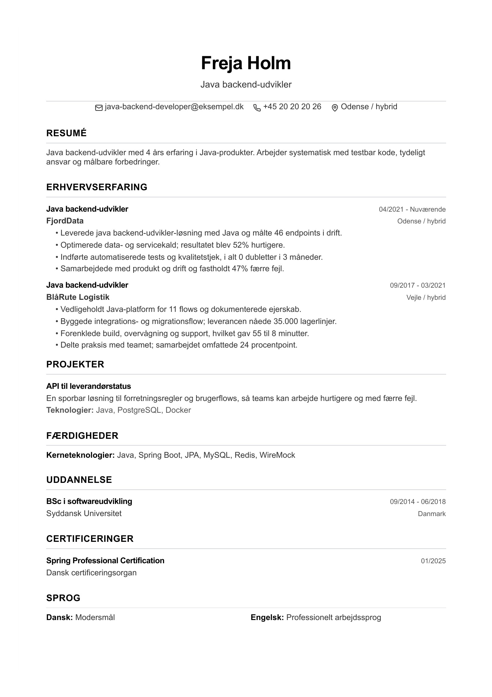 Java backend-udvikler CV - dansk eksempel
