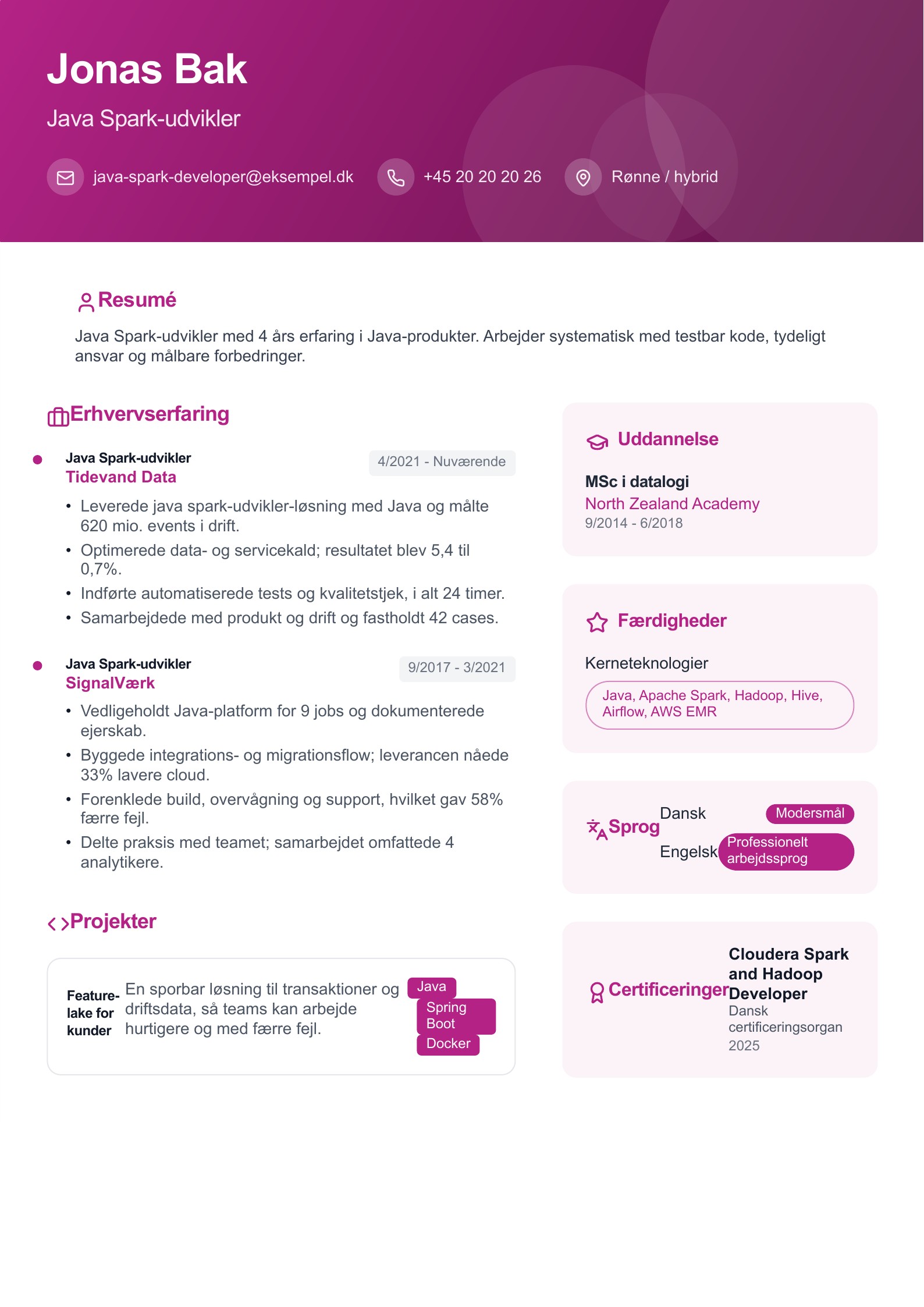 Java Spark-udvikler CV - dansk eksempel