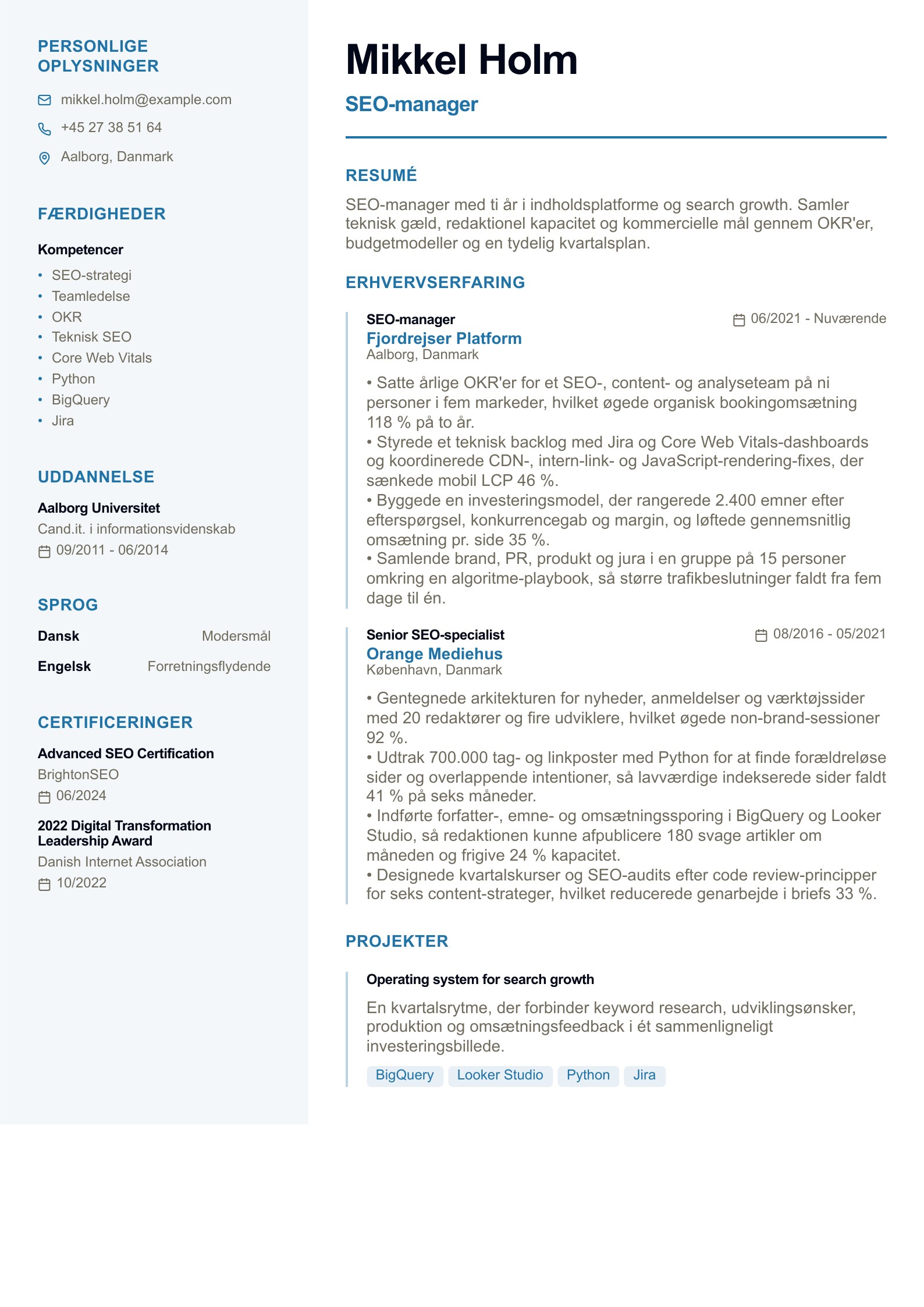 SEO-manager CV - dansk eksempel