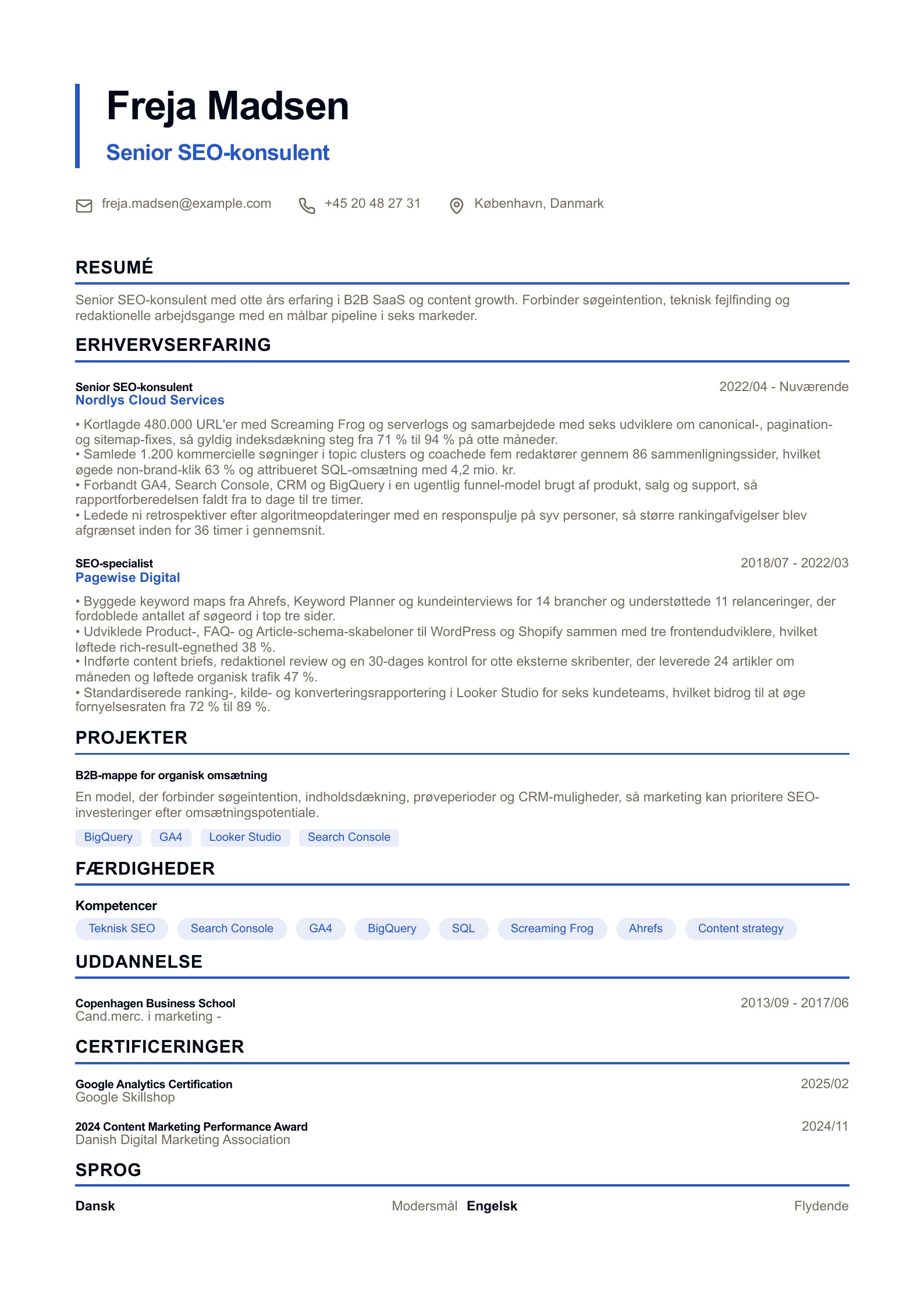 SEO-CV - dansk eksempel