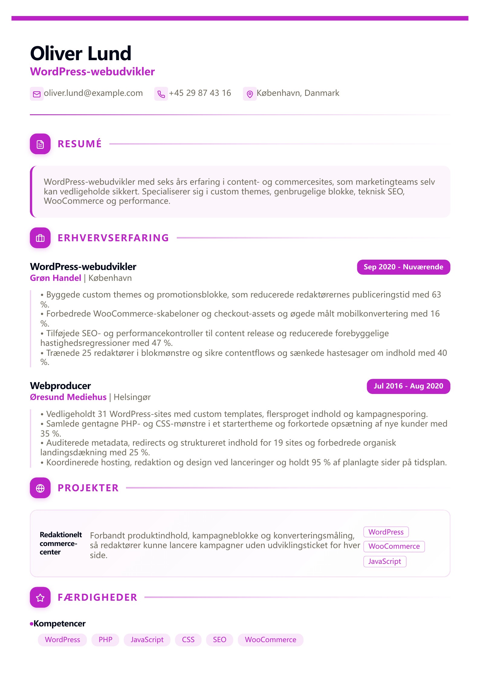 WordPress-webudvikler CV – dansk eksempel