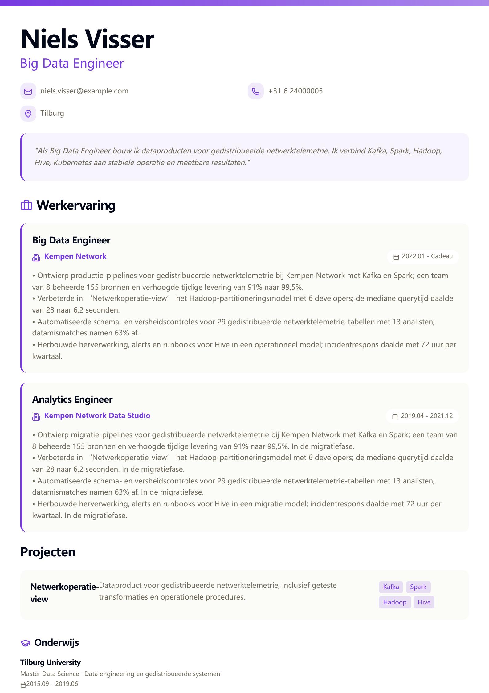 Big Data Engineer cv-voorbeeld Voorbeeld