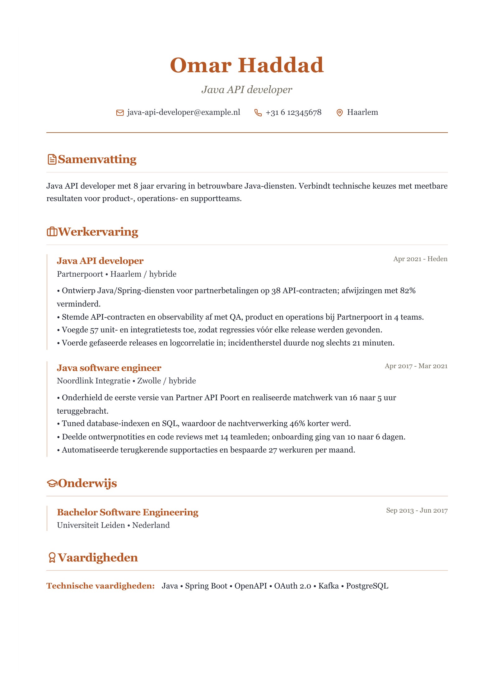 Java API developer cv-voorbeeld voorbeeld