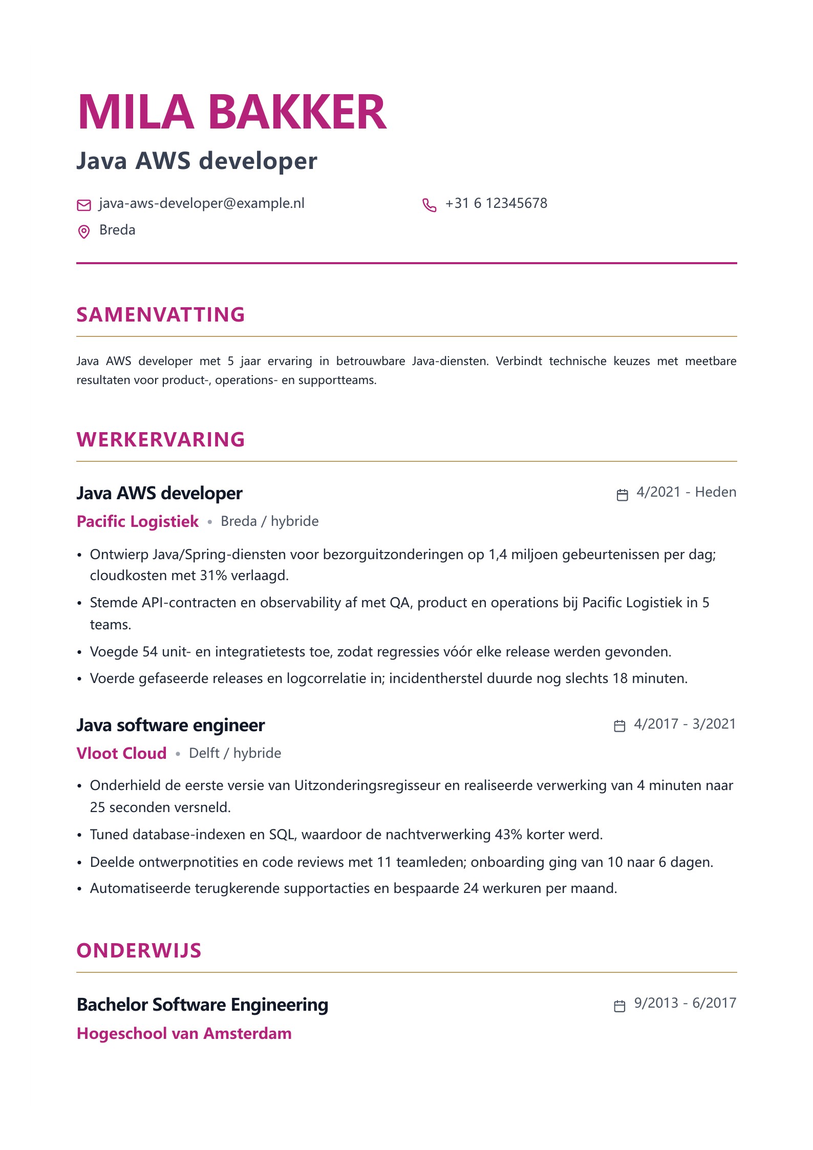 Java AWS developer cv-voorbeeld voorbeeld