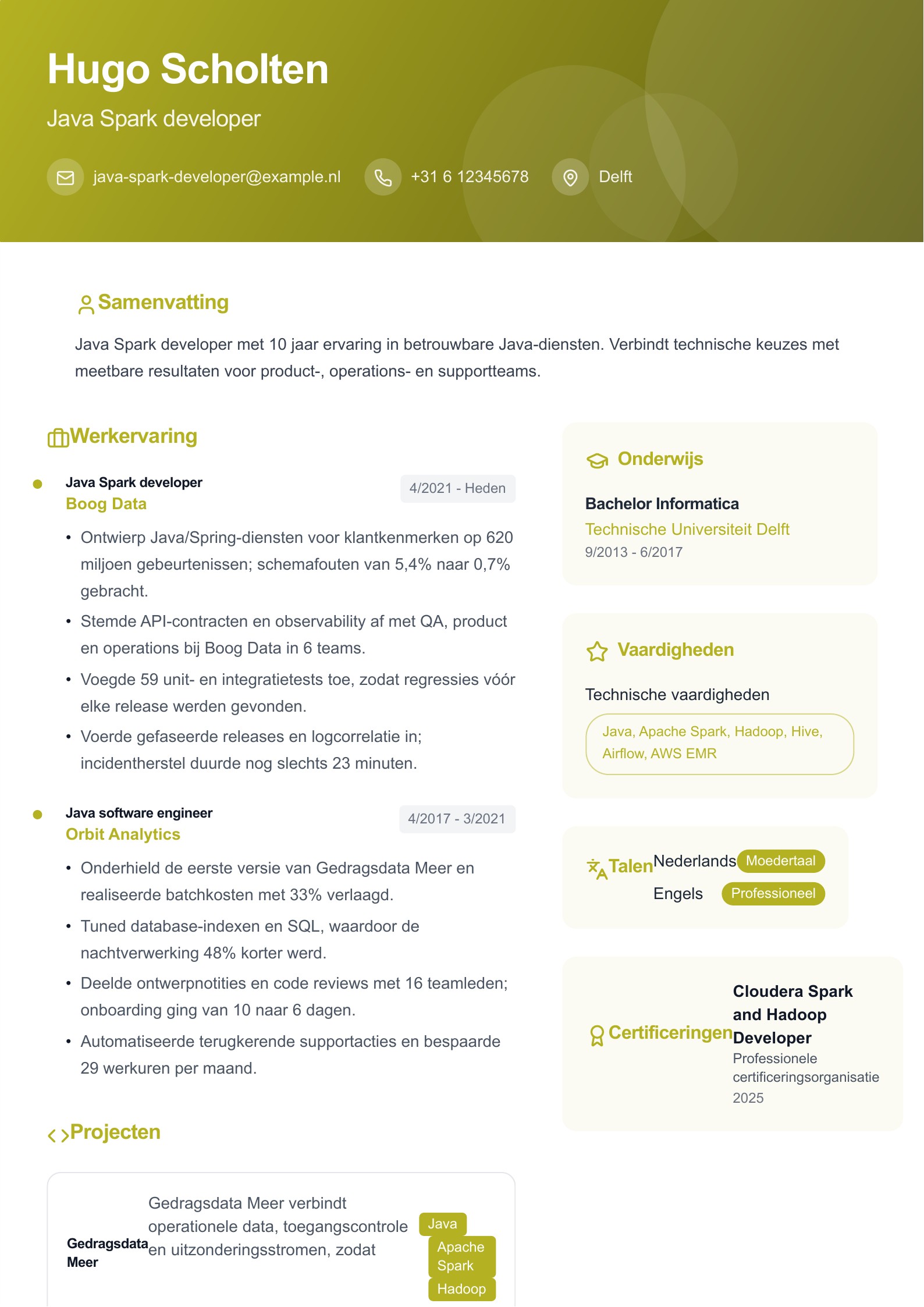 Java Spark developer cv-voorbeeld voorbeeld