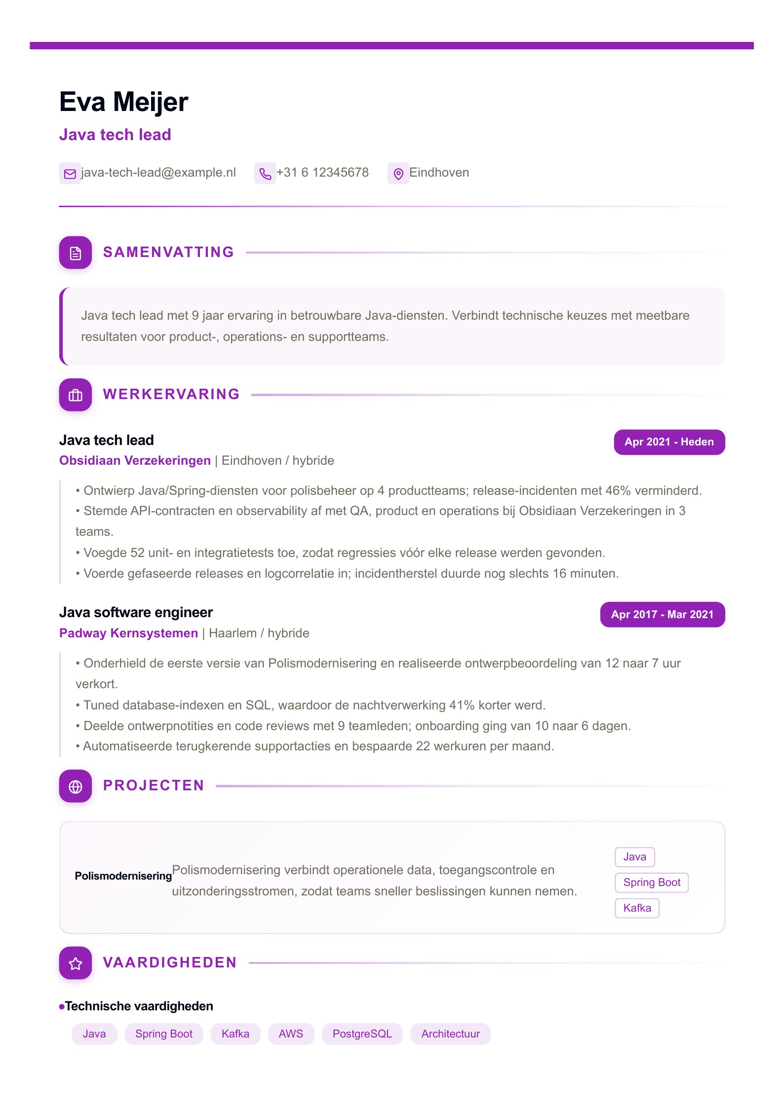 Java tech lead cv-voorbeeld voorbeeld