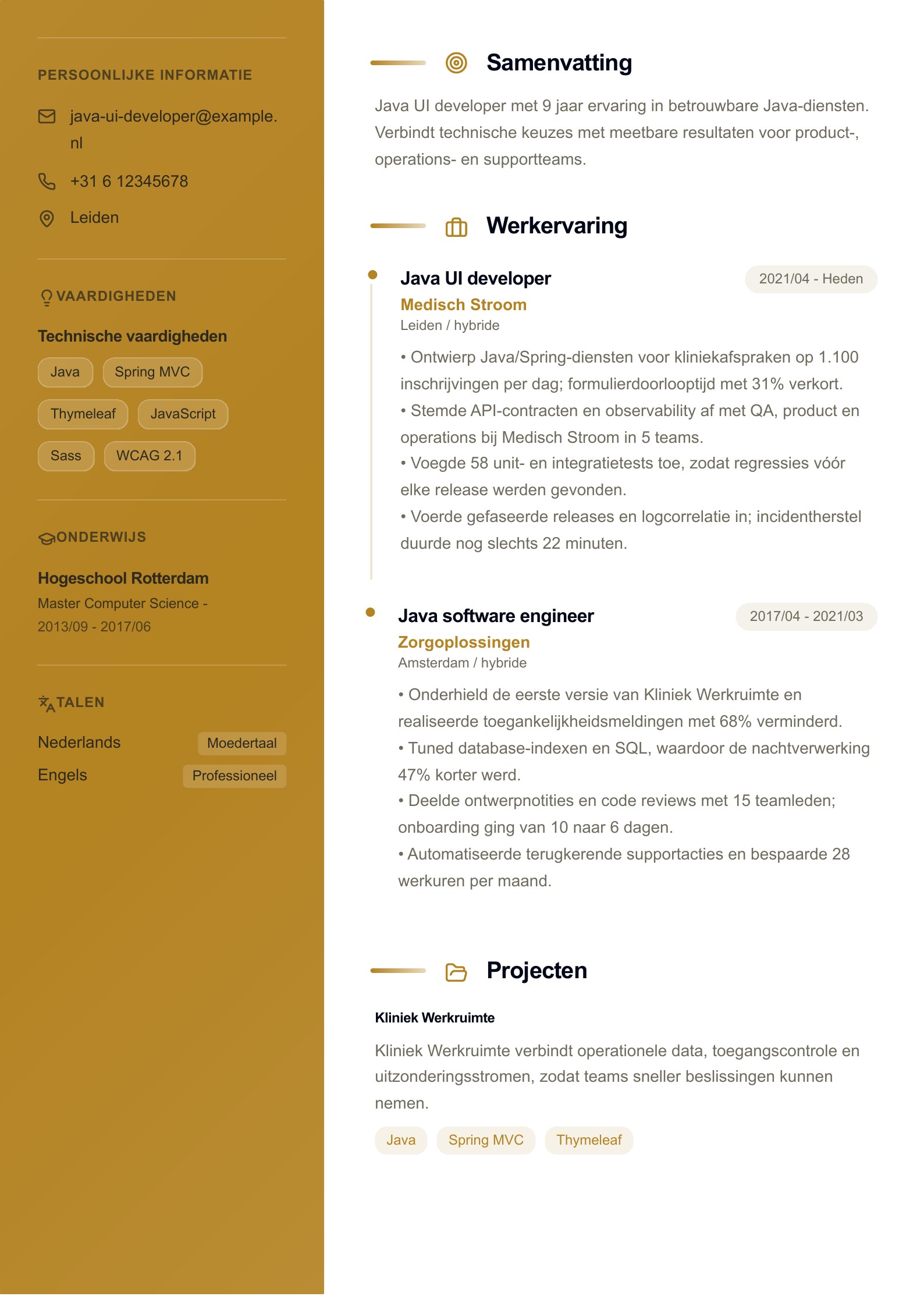 Java UI developer cv-voorbeeld voorbeeld