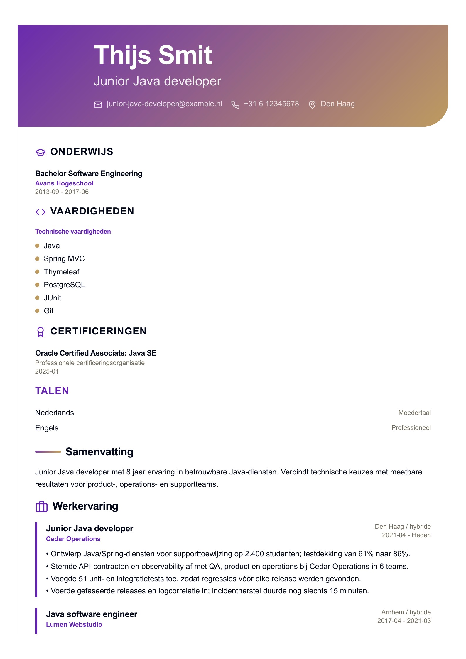 Junior Java developer cv-voorbeeld voorbeeld