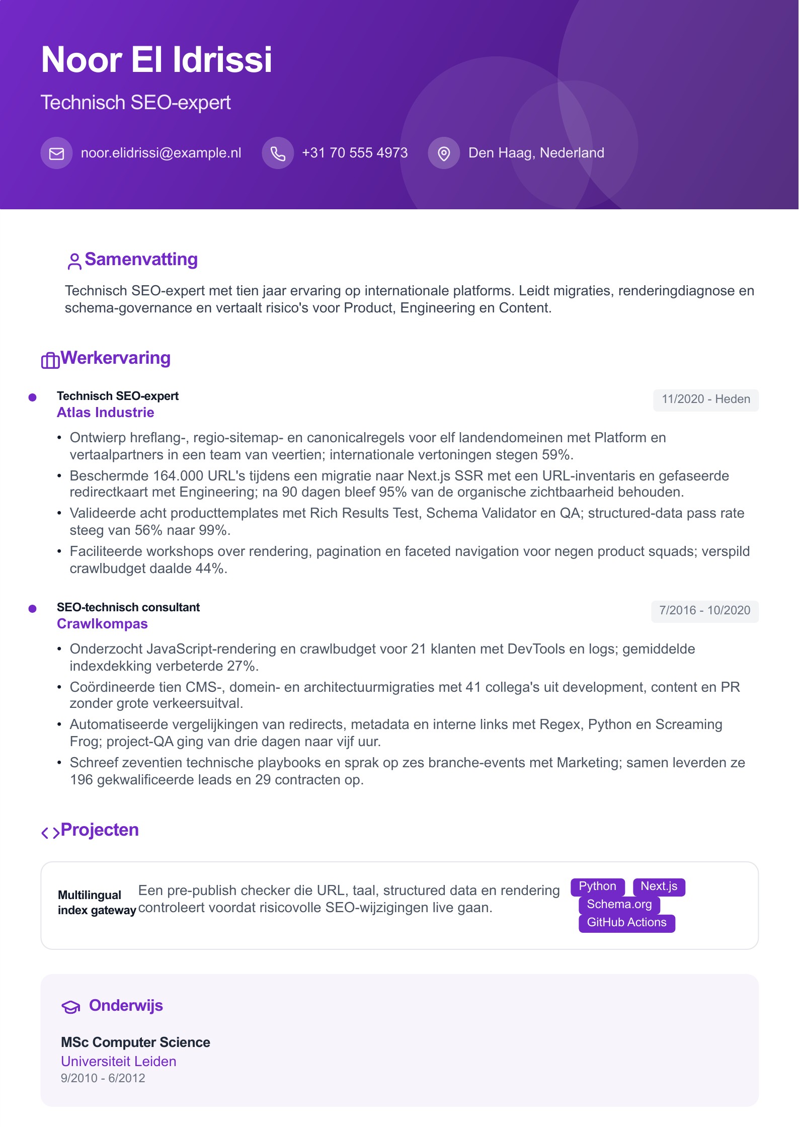 SEO-expert cv - Nederlands cv-voorbeeld