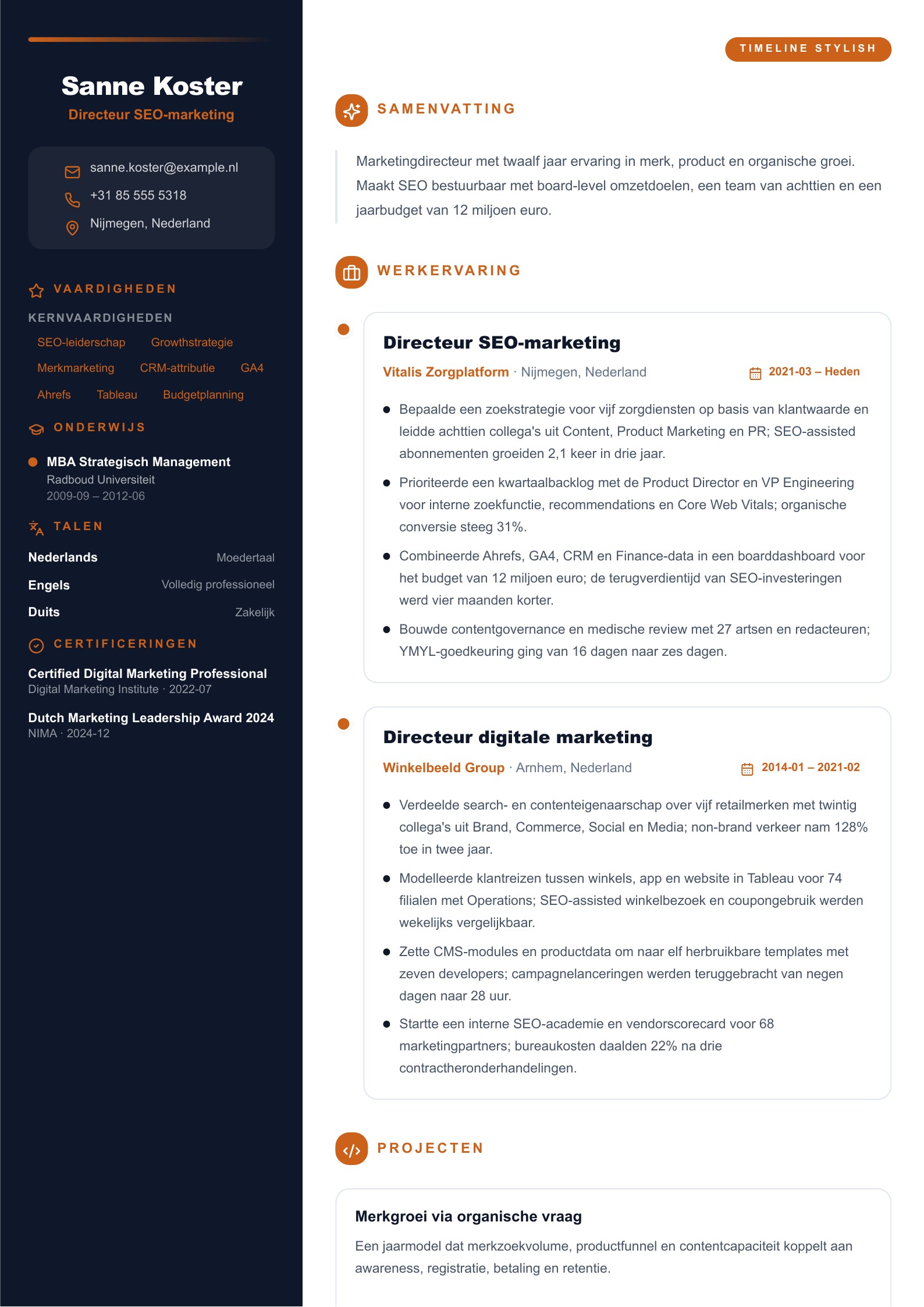 SEO-marketingdirecteur cv - Nederlands cv-voorbeeld