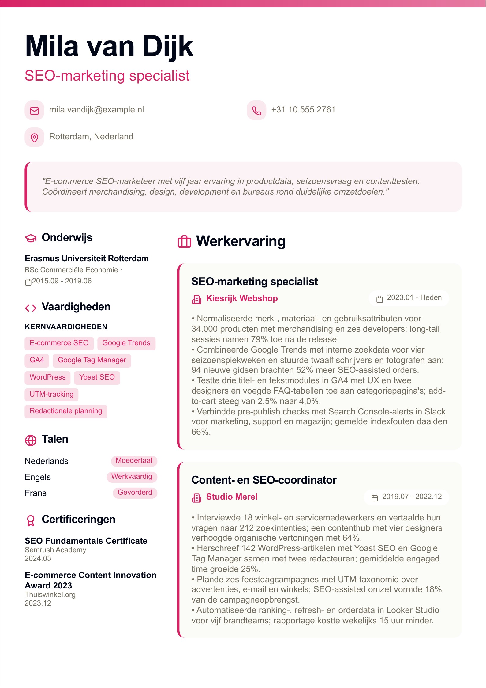 SEO-marketing specialist cv - Nederlands cv-voorbeeld