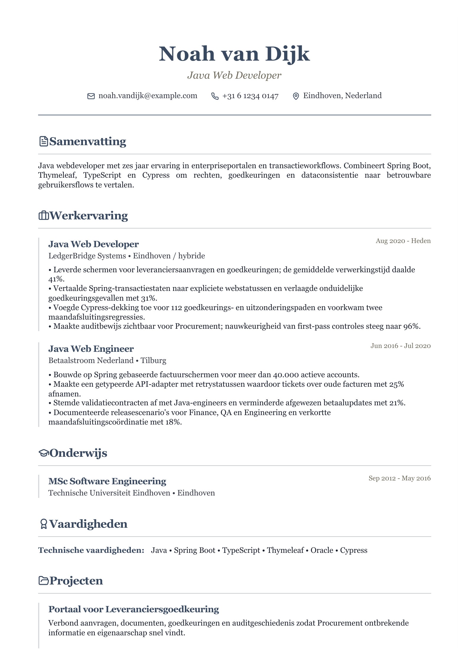 Cv van Java Web Developer - Nederlands voorbeeld