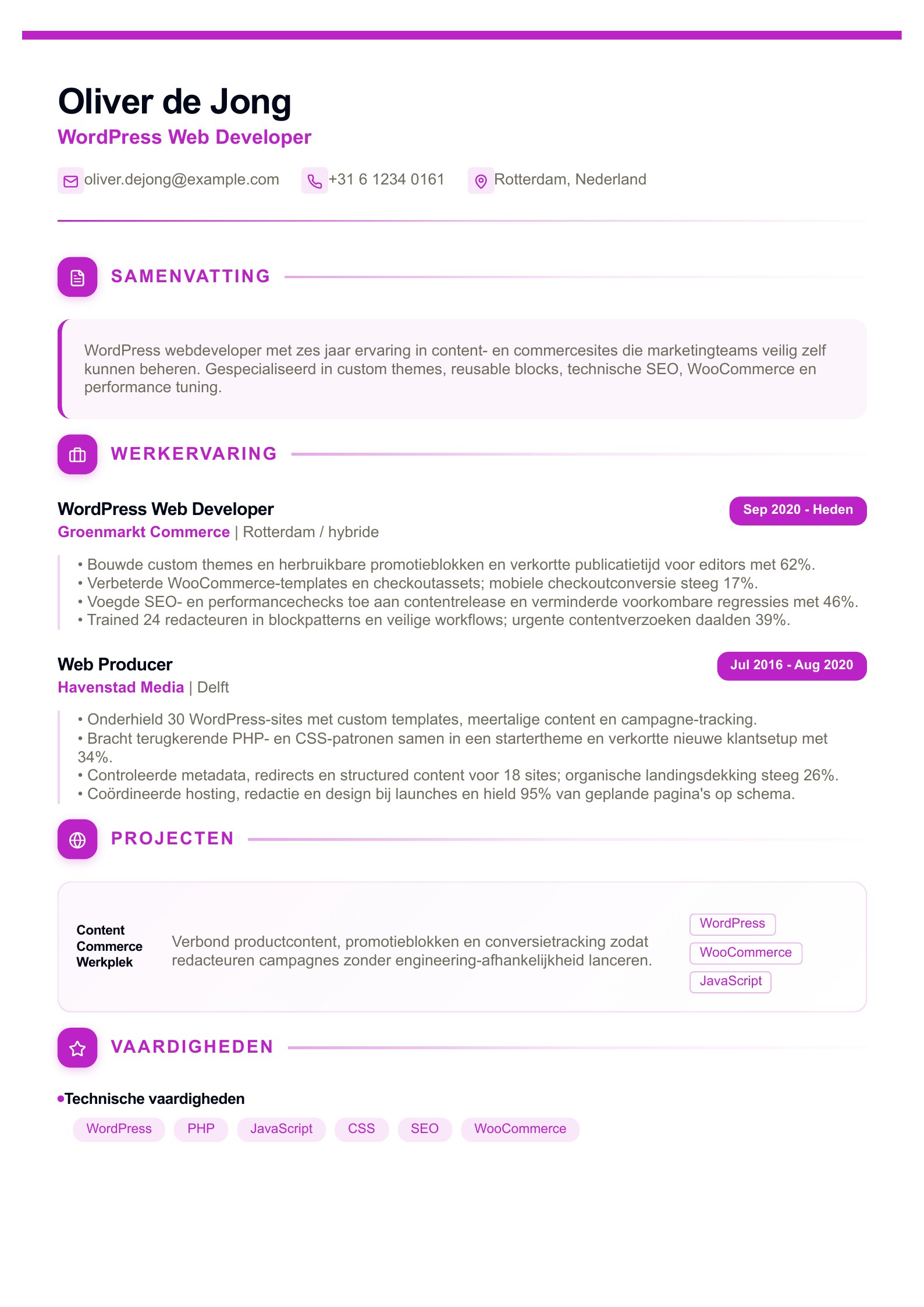 Cv van WordPress Web Developer - Nederlands voorbeeld
