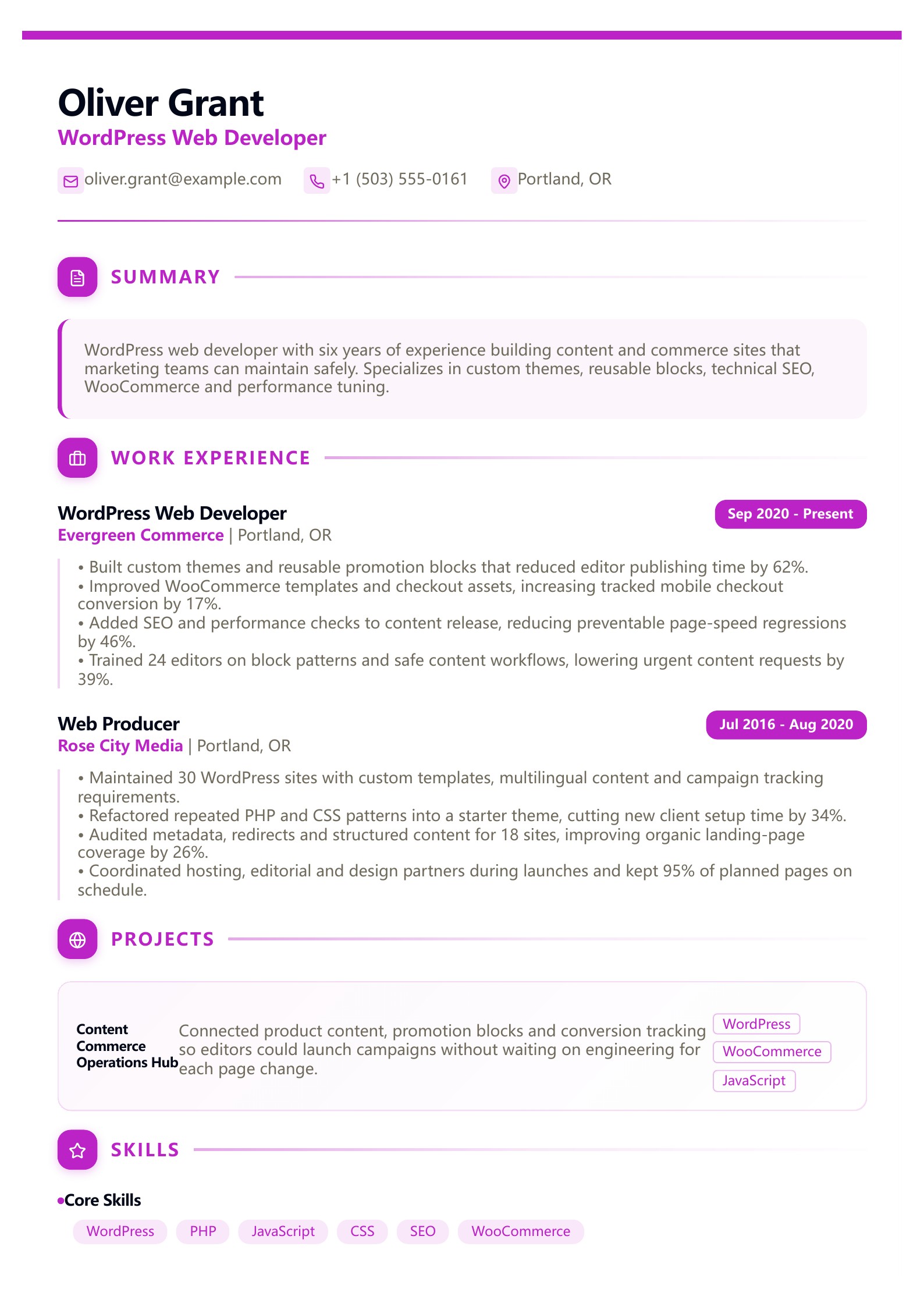 WordPress Web Developer Resume - English example