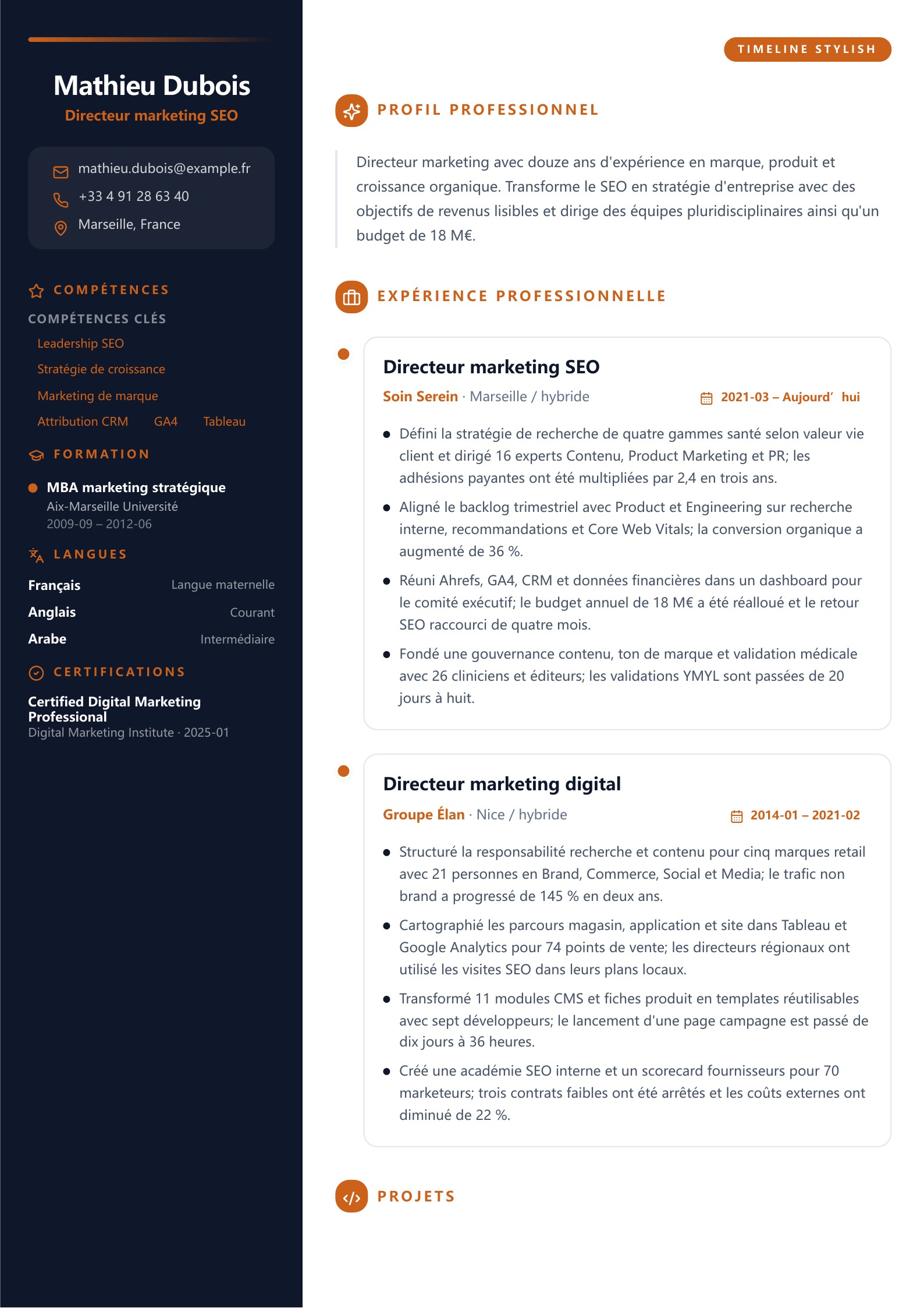 CV de directeur marketing SEO - exemple français