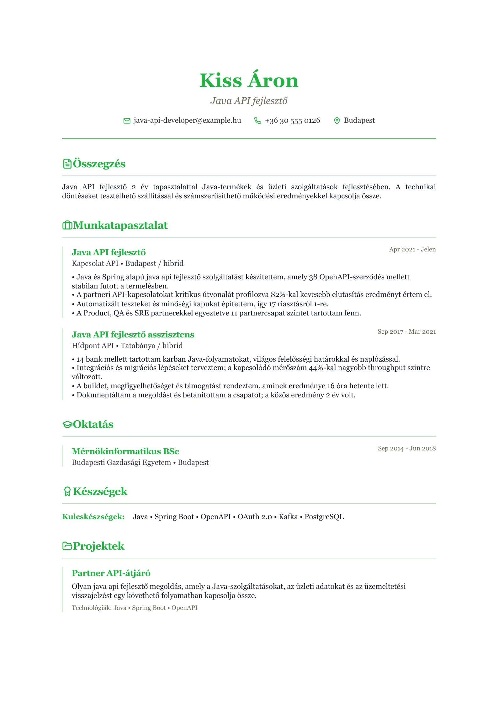 Java API fejlesztő önéletrajza - magyar példa