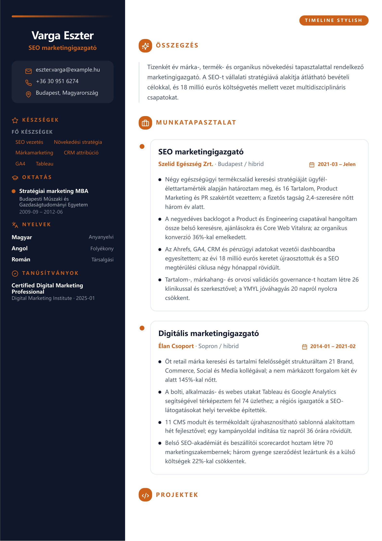 SEO marketingigazgató önéletrajza - magyar példa