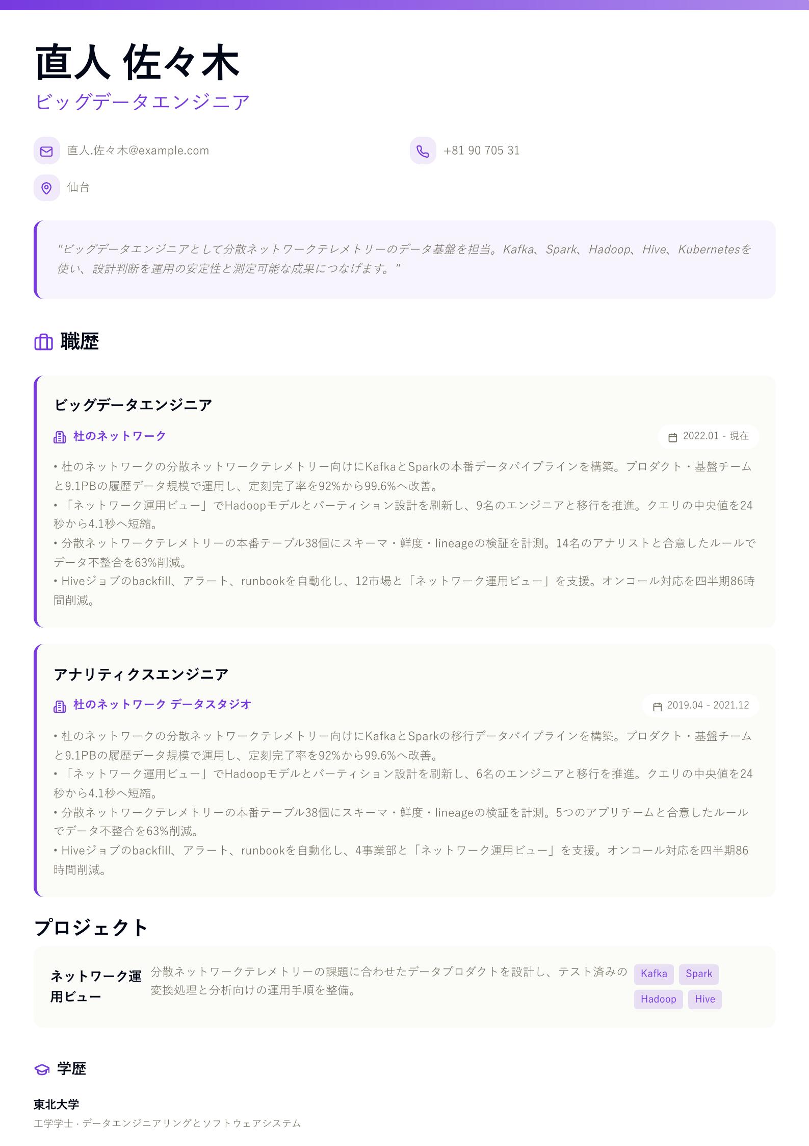 ビッグデータエンジニア職務経歴書の例 プレビュー
