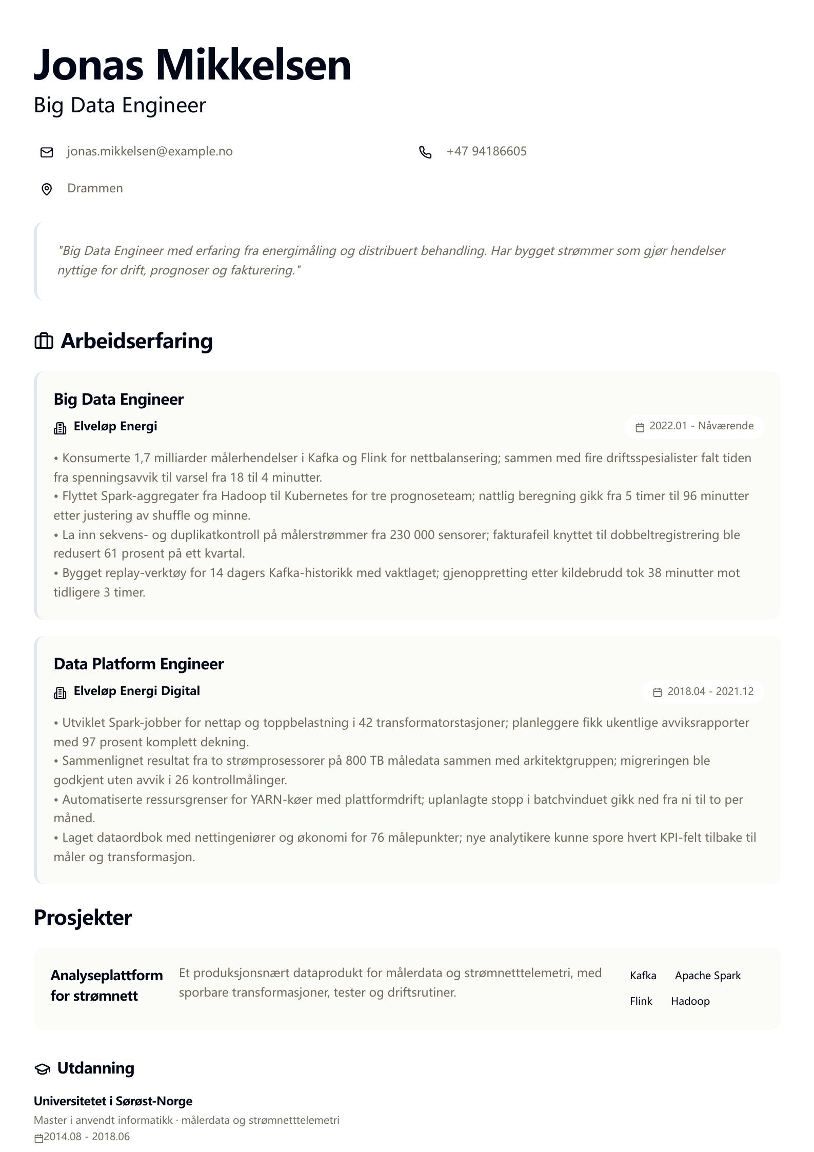 Big Data Engineer CV-eksempel CV-forhåndsvisning