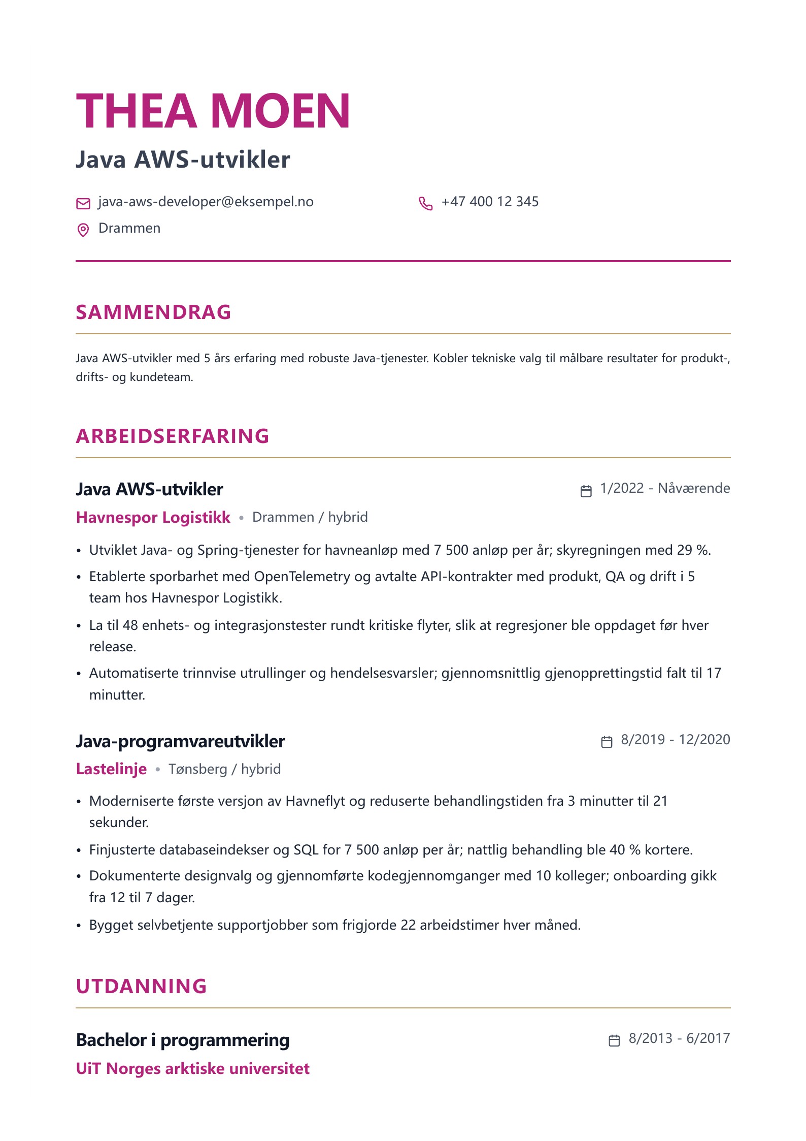 Java AWS-utvikler CV-eksempel forhåndsvisning