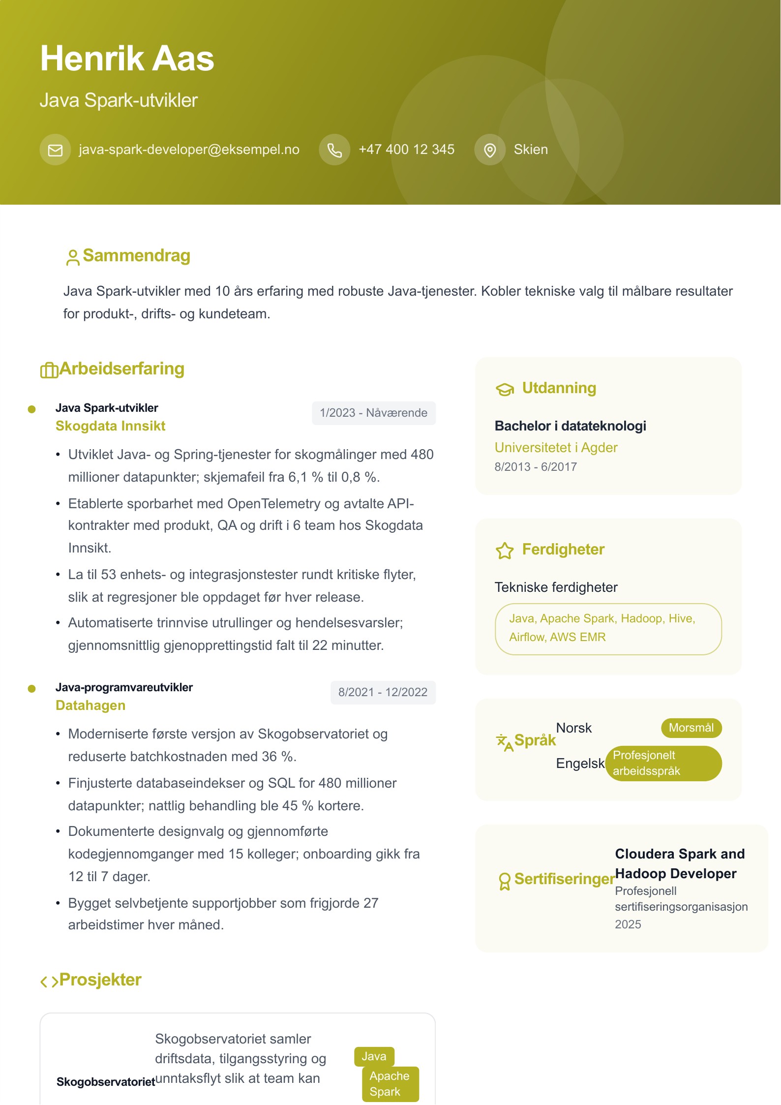 Java Spark-utvikler CV-eksempel forhåndsvisning