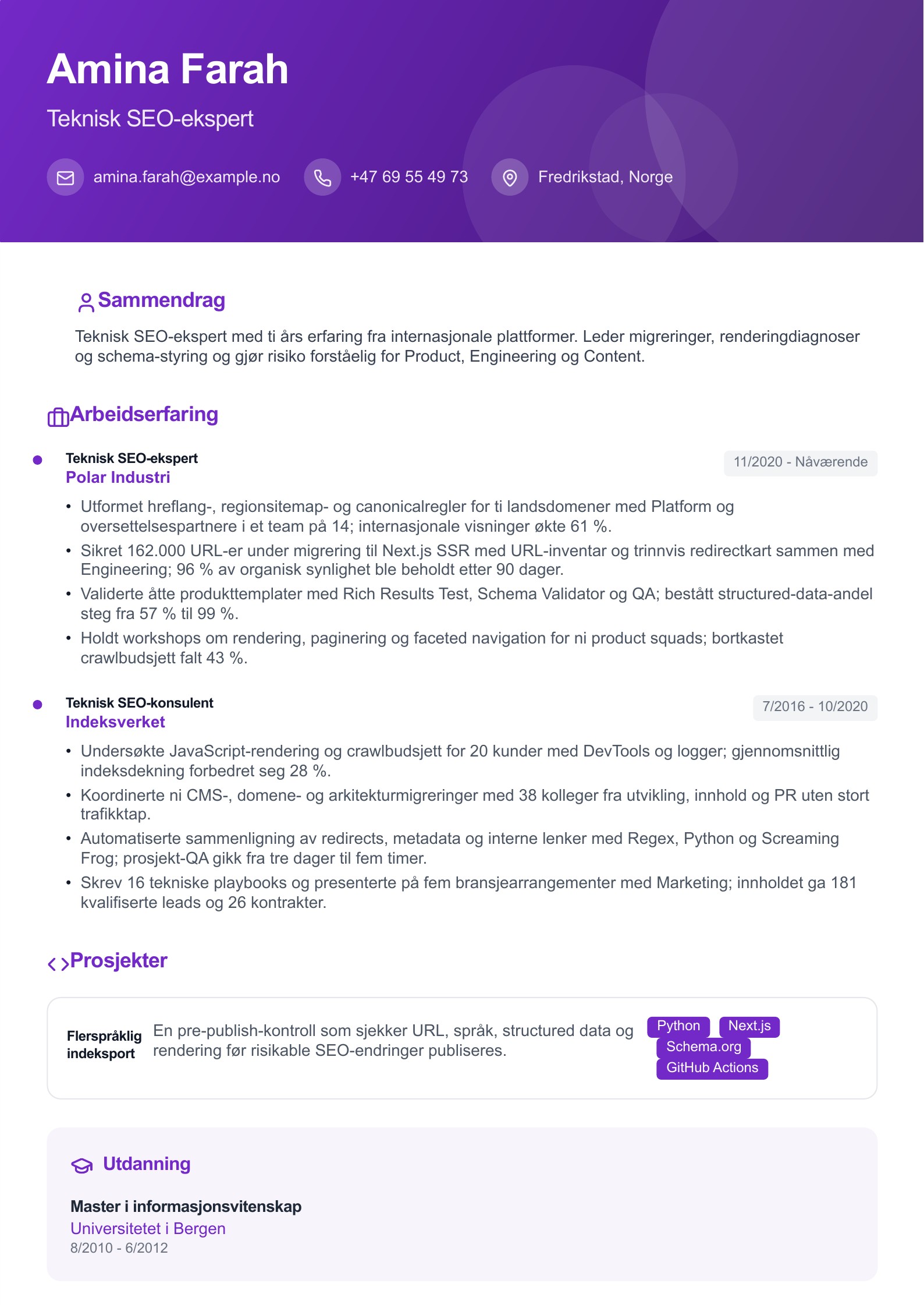 SEO-ekspert CV - norsk CV-eksempel