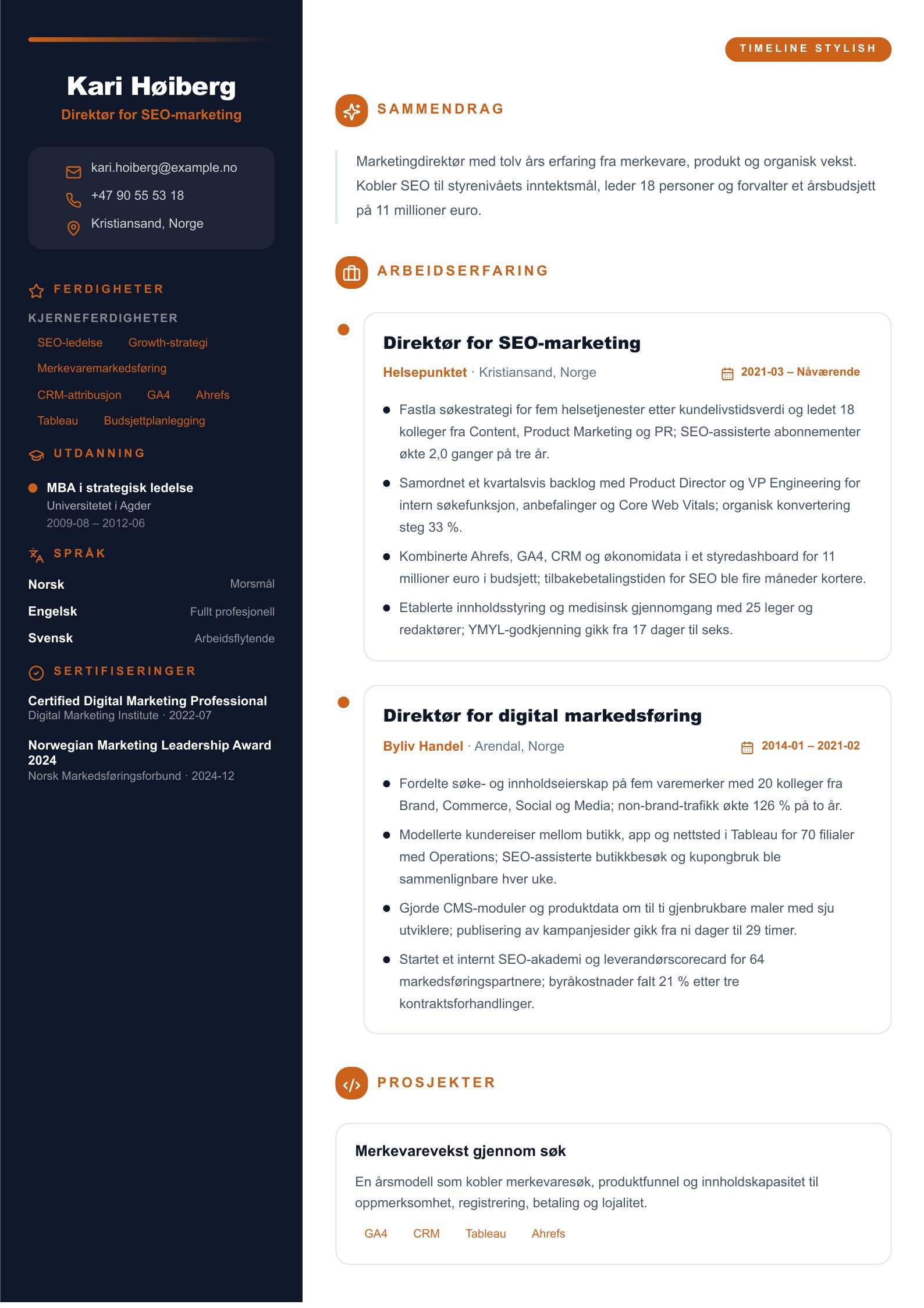 SEO-marketingdirektør CV - norsk CV-eksempel
