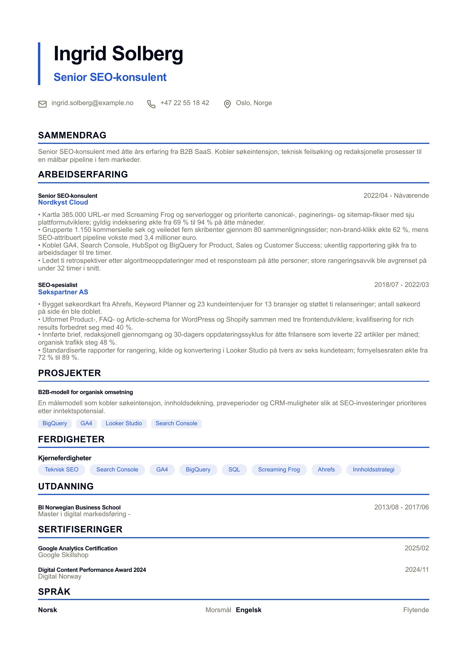 SEO-CV - norsk CV-eksempel