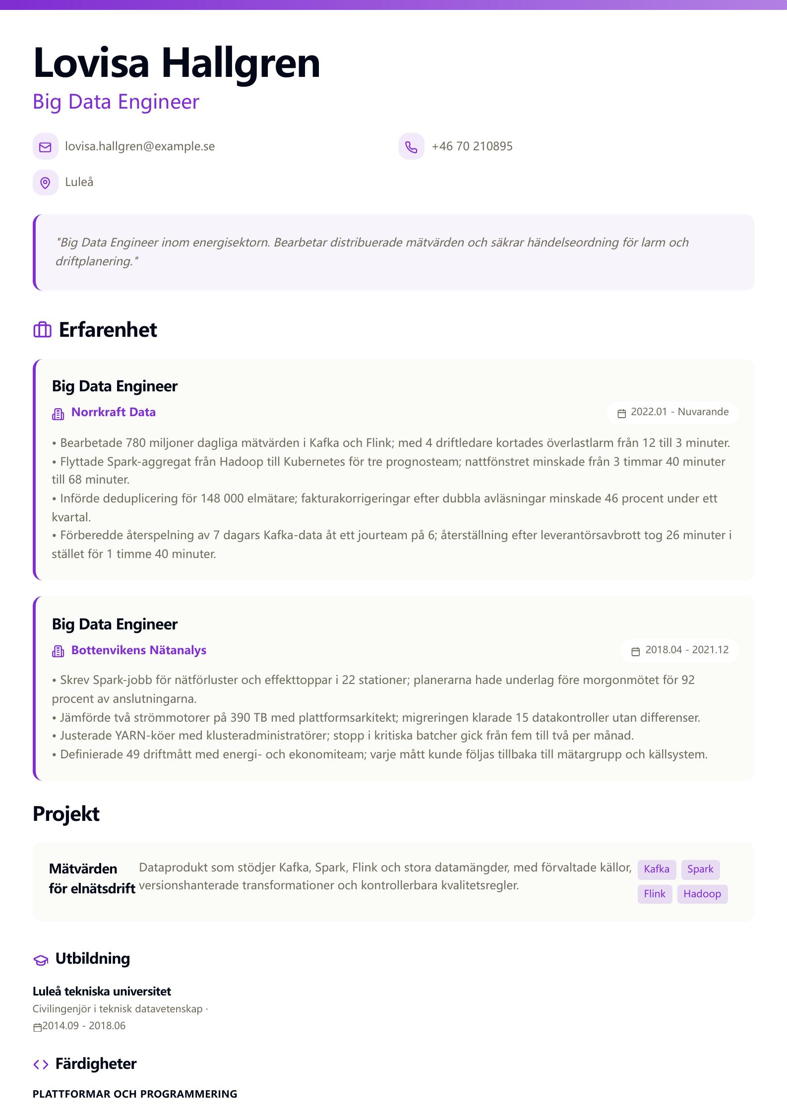 CV-exempel för Big Data Engineer Förhandsvisning av CV