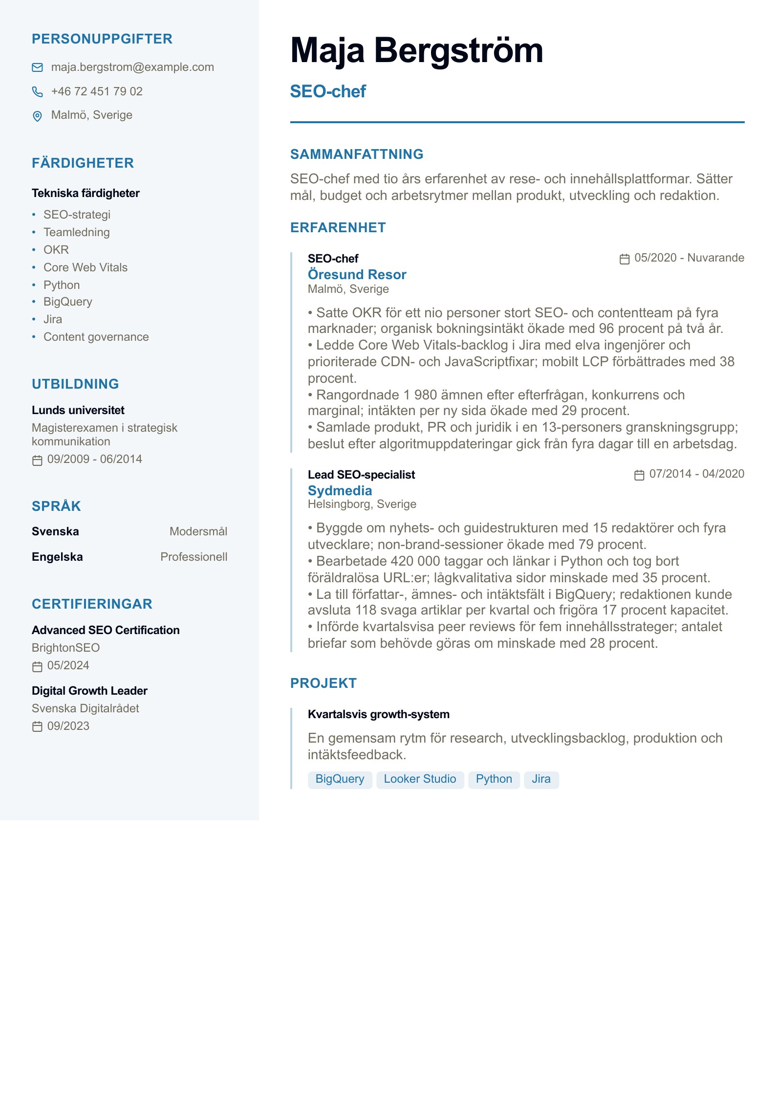SEO-chef - svenskt SEO-CV-exempel