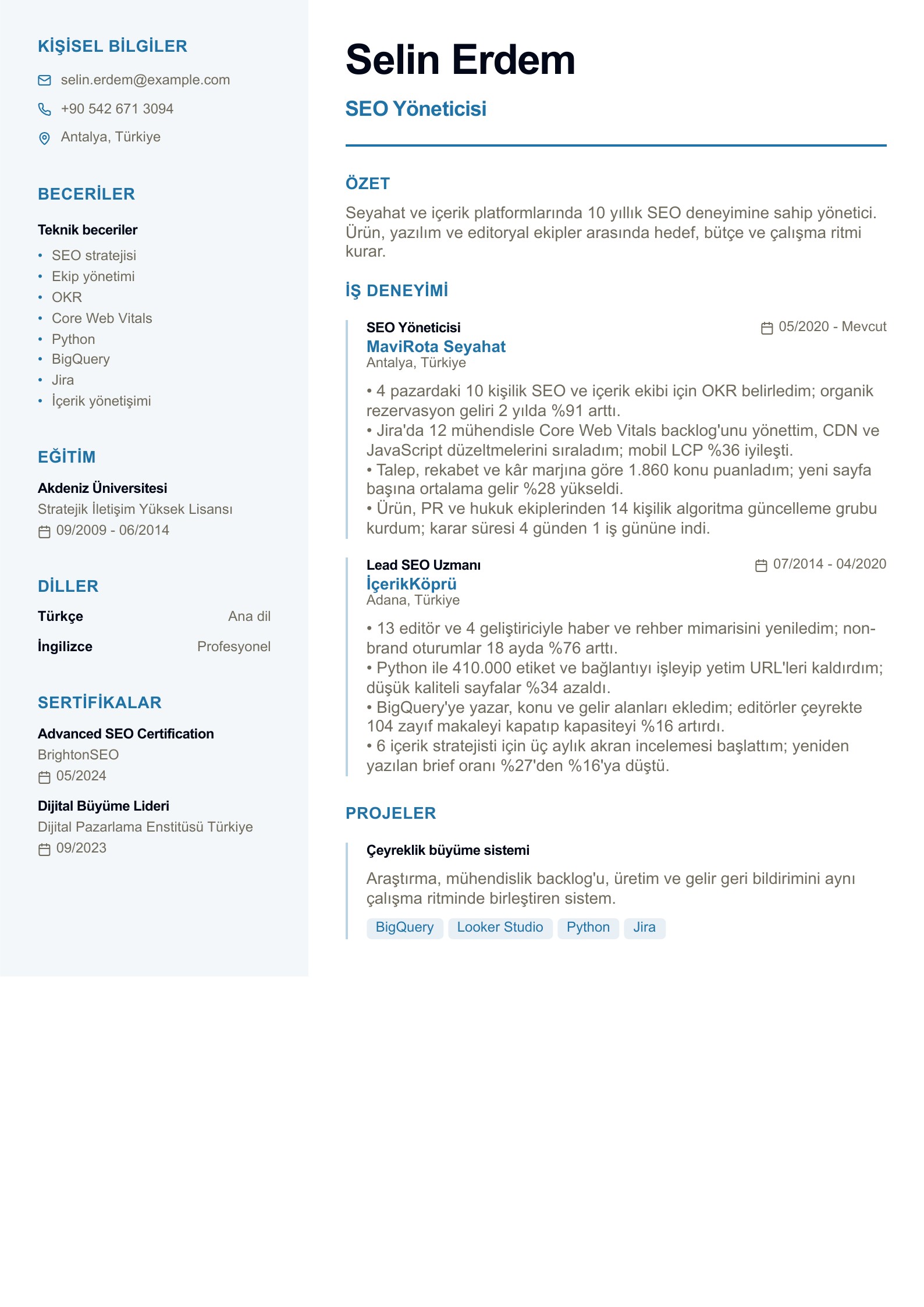 SEO Yöneticisi - Türkçe SEO CV örneği