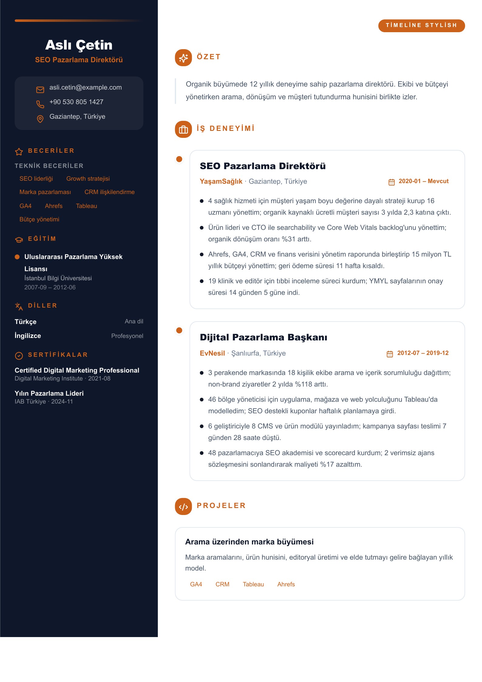 SEO Pazarlama Direktörü - Türkçe SEO CV örneği
