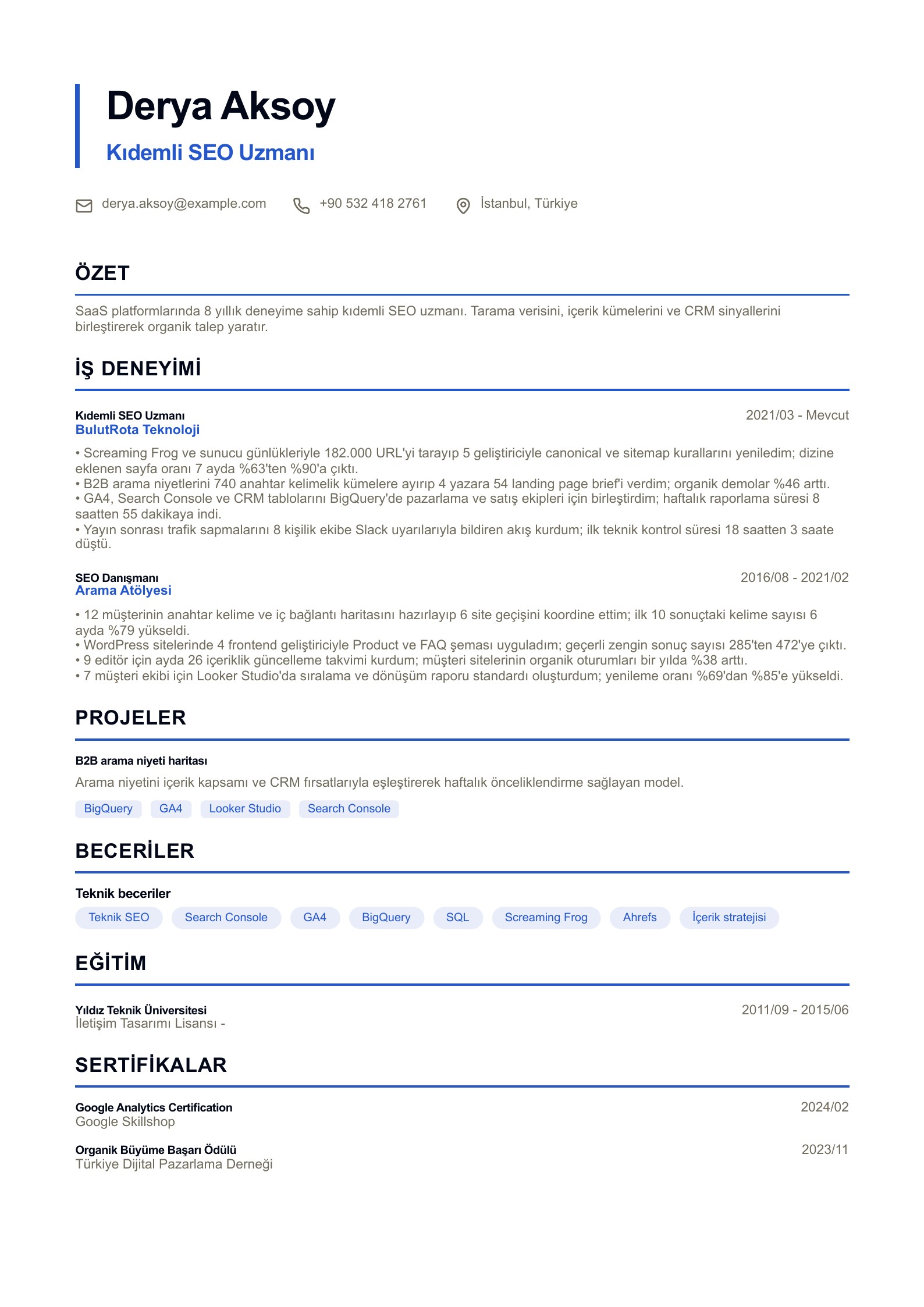 SEO CV - Türkçe SEO CV örneği