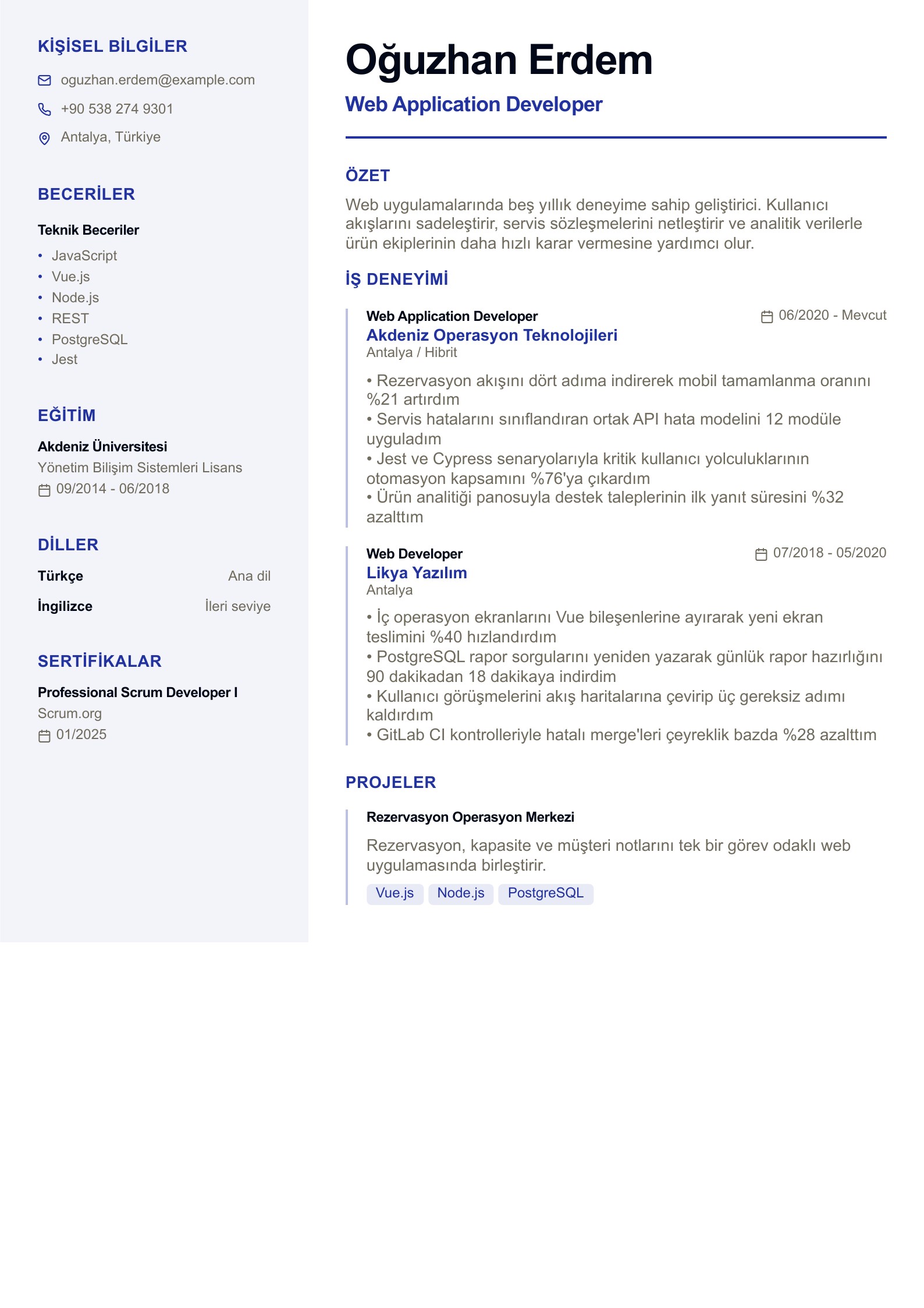 Web Application Developer CV Örneği - Türkçe CV örneği