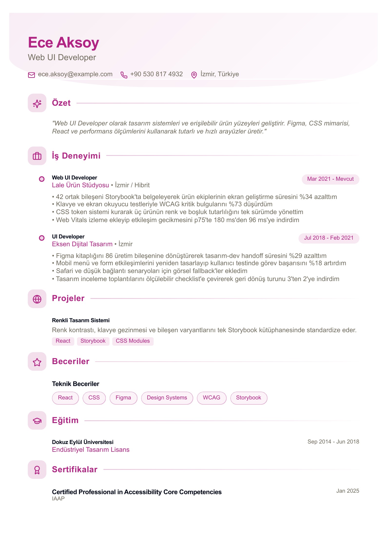 Web UI Developer CV Örneği - Türkçe CV örneği