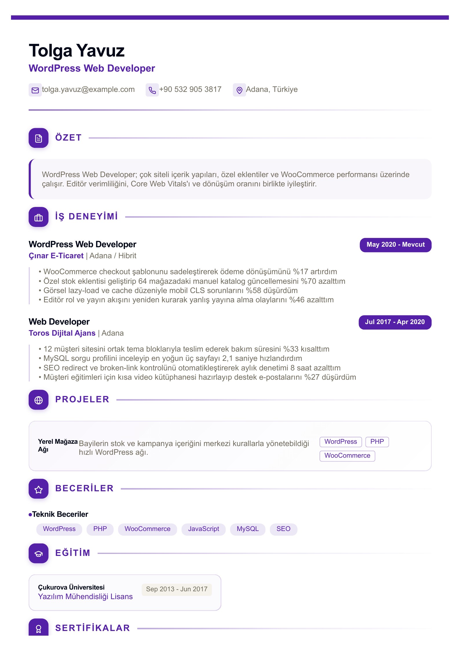 WordPress Web Developer CV Örneği - Türkçe CV örneği